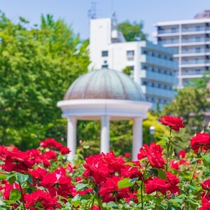 ヴェルニー公園