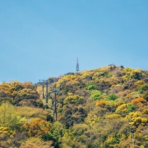 眉山