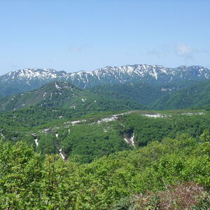 白神山地