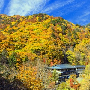 白骨温泉