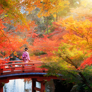 紅葉の秋