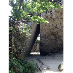 斎場御嶽