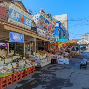函館朝市