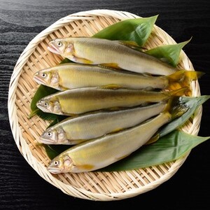 鮎