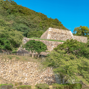 鳥取城