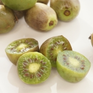 キウイベリー(ベビー・キウイ)