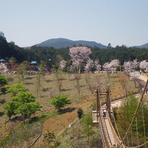 小田原こどもの森公園 わんぱくらんど
