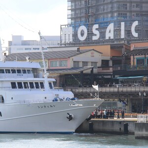 umie MOSAIC