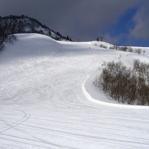 氷ノ山国際スキー場