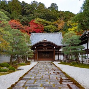 高台寺(京都府京都市)