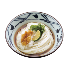 おろし醤油うどん(温)