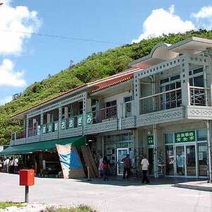 道の駅おおぎみ