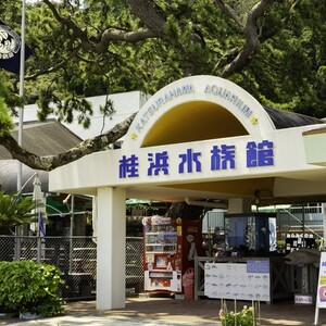 桂浜水族館