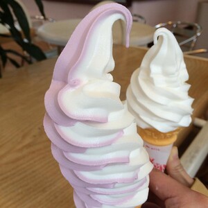 小樽ミルク・プラント