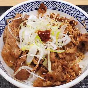 牛カルビ丼