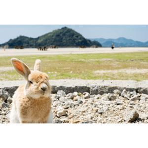 大久野島