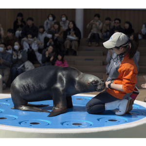 サンシャイン水族館