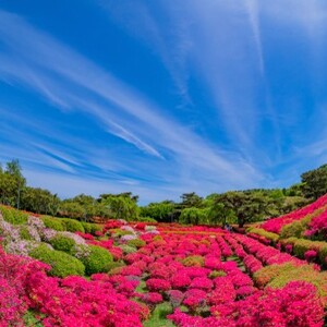 小室山公園