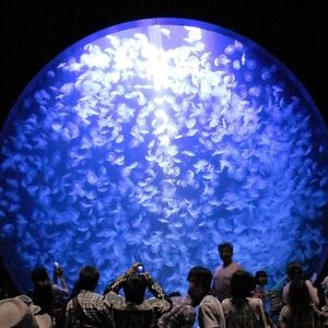鶴岡市立加茂水族館