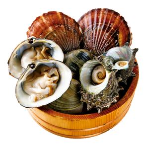 活貝盛り合わせ