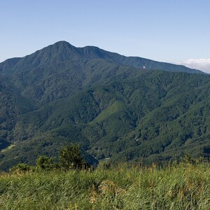 金時山