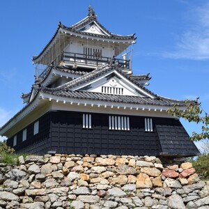 浜松城