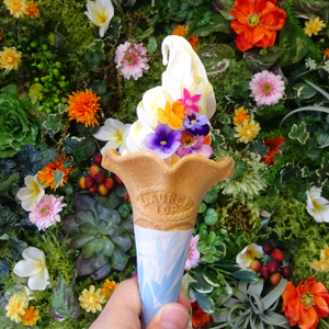 NATURAL HONEY(ナチュラルハニー)