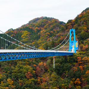 竜神大吊橋