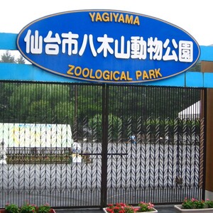 八木山動物公園