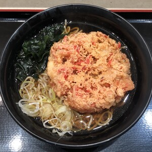 紅生姜天そば