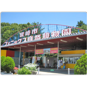宮崎市フェニックス自然動物園