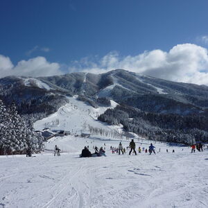 スキージャム勝山