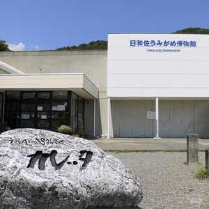 日和佐うみがめ博物館「カレッタ」