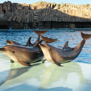 名古屋港水族館