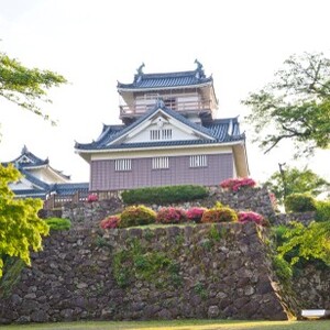越前大野城