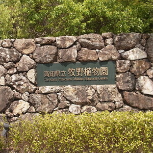 高知県立牧野植物園