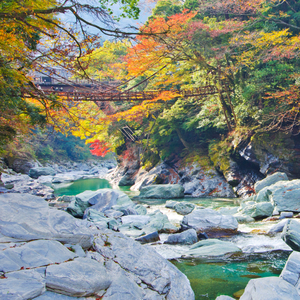 徳島県