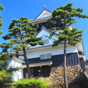 岡崎城