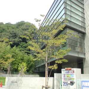 坂の上の雲ミュージアム
