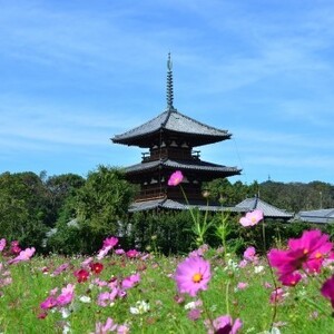 法隆寺地域の仏教建造物
