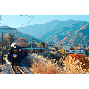 埼玉県