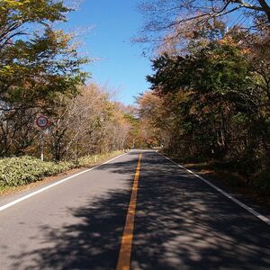 もみじライン(日塩有料道路)
