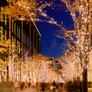 投票結果 1 36位 冬の風物詩ランキング 最も冬を感じるものは みんなのランキング