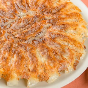 ぎょうざの丸岡 ぎょうざ