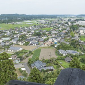 綾町