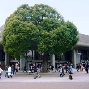 東京文化会館