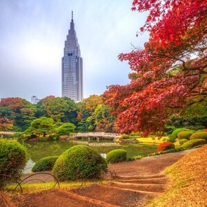 新宿御苑