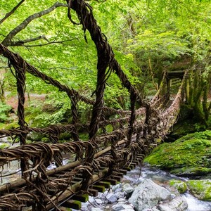 奥祖谷二重かずら橋
