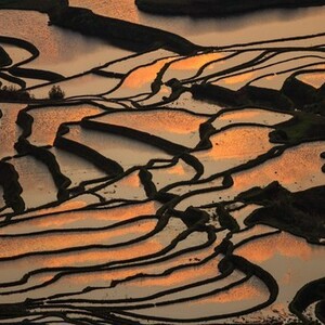 紅河ハニ棚田群の文化的景観