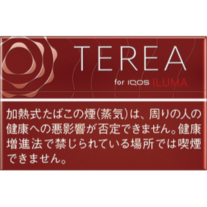 テリア ボールド・レギュラー